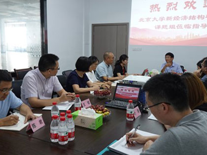 New Structural Economics Research Institute vid Peking University och hans delegation kom till Chengbang Hi-Tech, ett dotterbolag till koncernen, för att genomföra en särskild utredning